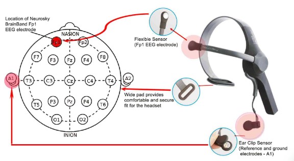 neurosky-mindwave-mobile-2-eeg-cihazi-elektrotlar.jpg (43 KB)